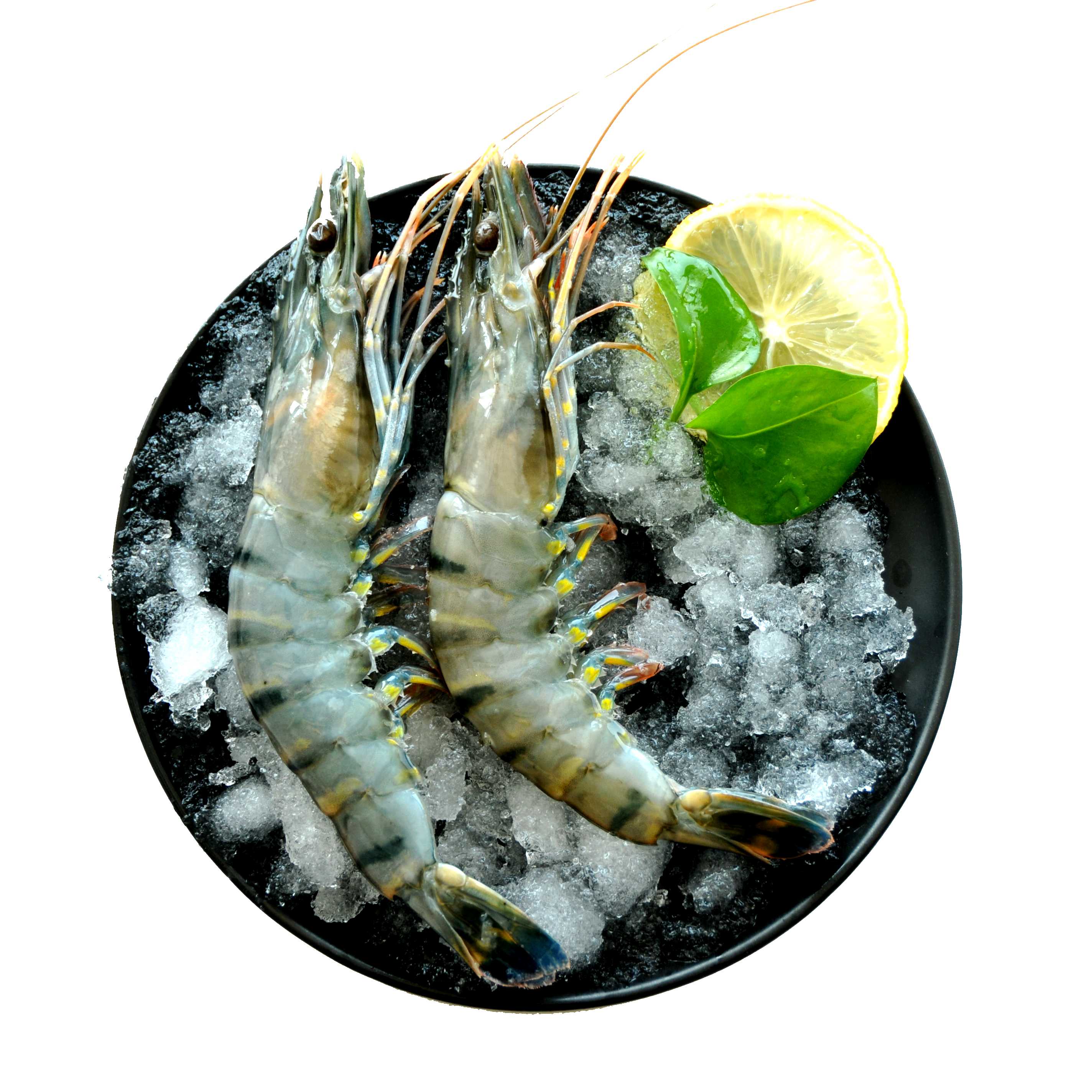 壹家壹站 原装进口马来西亚黑虎虾(活虾急冻)400g 13-14只 盒装 限量