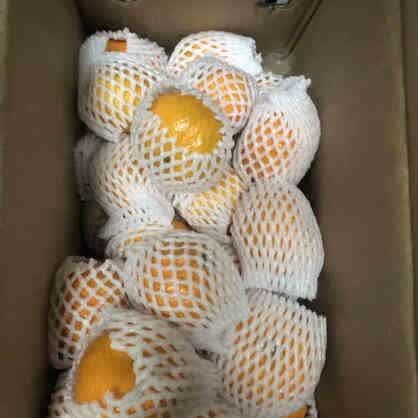 临海涌泉蜜桔橘 黄岩台州蜜桔橘 新鲜橘子桔砂糖橘整箱 3斤