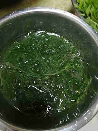 安道子 天然盐渍海草龙须菜凉拌即食方便美食绿藻海菜裙带菜 龙须菜