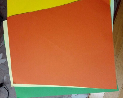 其实是包装,虽然是纸片,但只有一个角被压了,其他的部分都是好的,比我