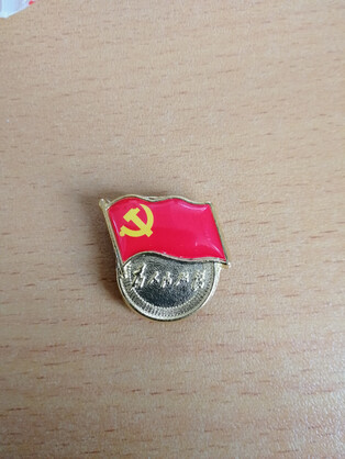 党徽颜色感觉很好看,鲜红的颜色.党徽的波浪形给了旗帜的飘动感.