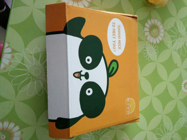 【橙子学园】爱词. 四级必过词汇 英语单词 四级