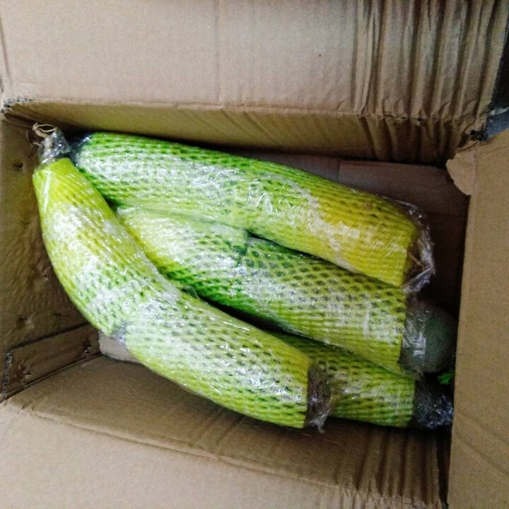 【京东农场】潍坊潍县水果青萝卜 白萝卜约2.5kg 火锅食材 坏果包赔 产地直发怎么样，好用吗，口碑，心得，评价，试用报告,第2张