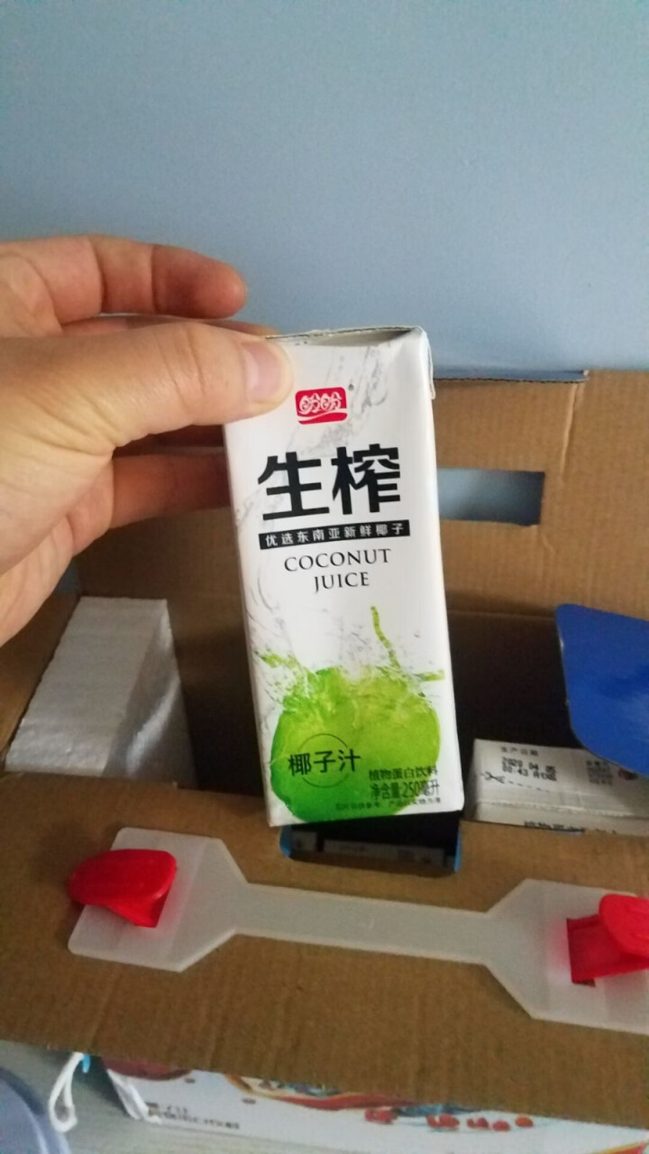 盼盼 椰子汁 植物蛋白饮料 椰奶椰子水 250ml*12瓶 整箱 礼盒装 250ml*12瓶 国潮礼盒装怎么样，好用吗，口碑，心得，评价，试用报告,第2张