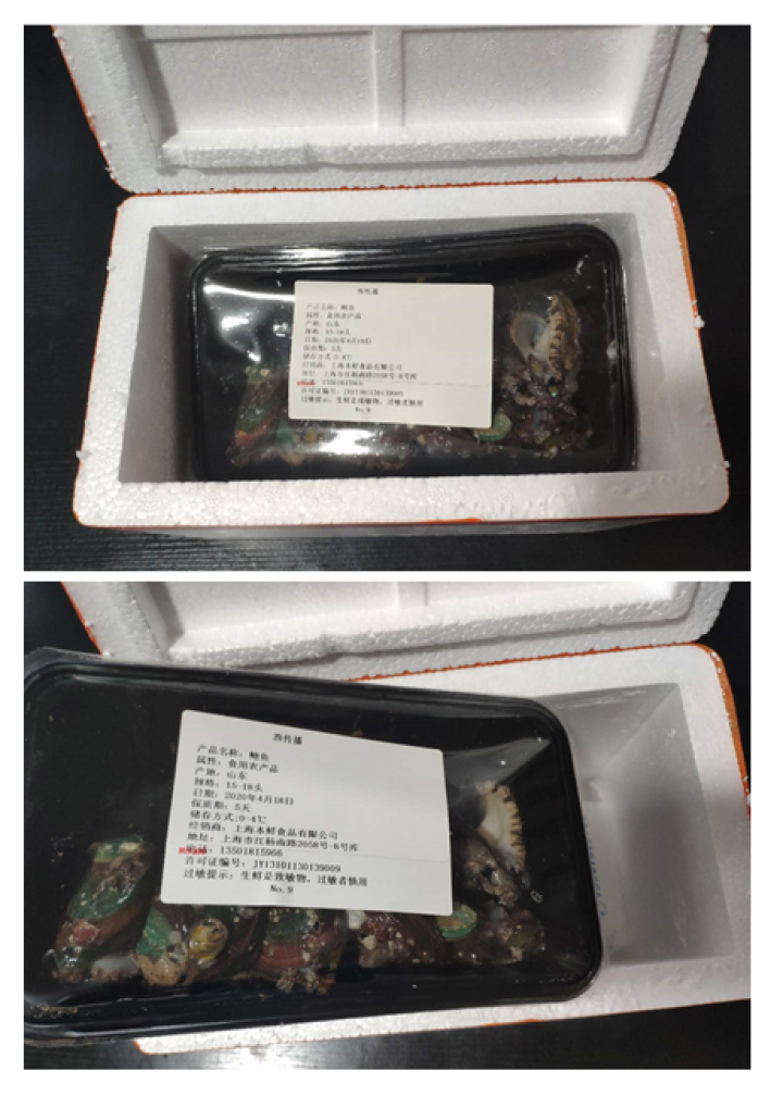 【活鲜】渔传播 山东青岛鲜活鲍鱼 500g 15,第3张