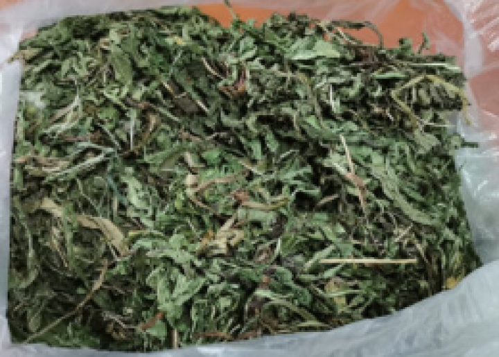 蒲公英带根干婆婆丁新鲜新货整颗棵全草花茶株天然1斤500g怎么样，好用吗，口碑，心得，评价，试用报告,第2张