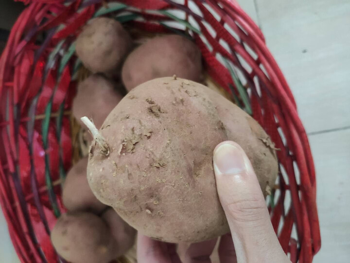 【乌兰察布】后旗红土豆 红皮土豆火山红皮含硒土豆马铃薯 新鲜出土现挖现发(普通装/礼盒装） 4.5斤,第5张