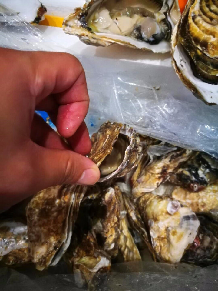 【活鲜】海鲜颂 鲜活刺身生蚝海蛎 梅岭牡蛎 冷水蚝 刺身生蚝2.5kg (约25,第3张