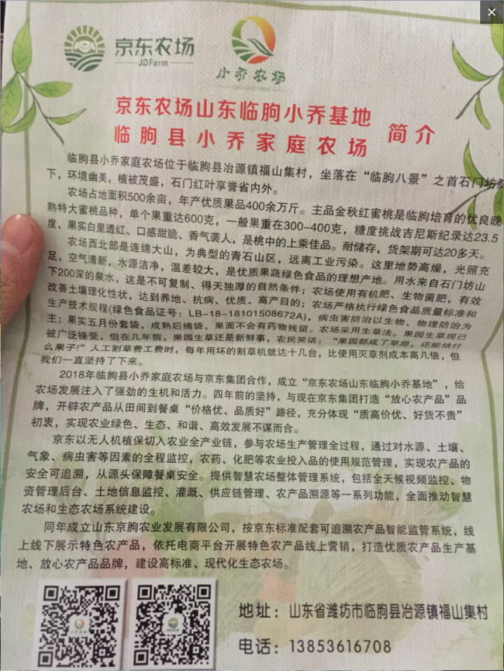 【京东农场】潍坊潍县水果青萝卜 白萝卜约2.5kg 火锅食材 坏果包赔 产地直发怎么样，好用吗，口碑，心得，评价，试用报告,第2张