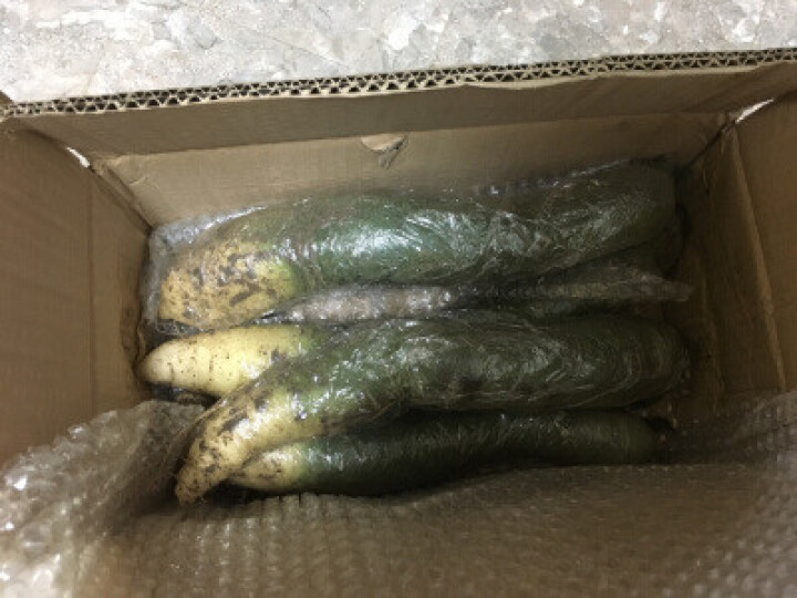 【京东农场】潍坊潍县水果青萝卜 白萝卜约2.5kg 火锅食材 坏果包赔 产地直发怎么样，好用吗，口碑，心得，评价，试用报告,第4张