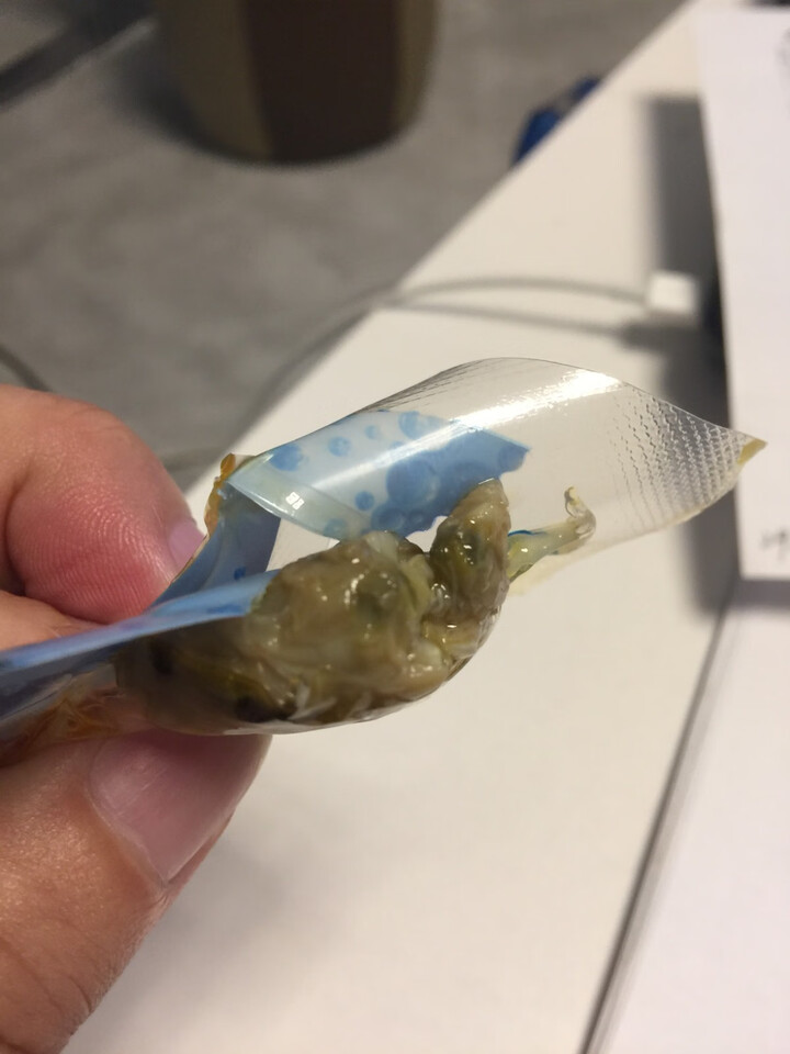 优选鲜峰即食麻辣大虾香辣花蛤珍珠鲍肉熟食海鲜零食小吃办公室休闲零食海味小零食健康零食品即食熟食 香辣花蛤108g+香辣珍珠鲍108g怎么样，好用吗，口碑，心得，,第5张