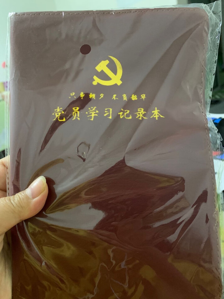 党员笔记本学习会议记录本党的精神19大报告摘抄记事本定制logo 32K,第2张