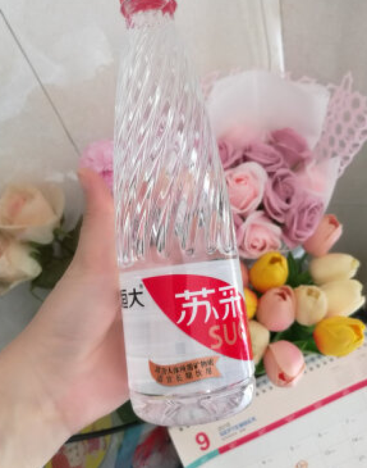 恒大 苏采天然矿泉水 饮用水 非纯净水 个性瓶身高颜值 500ml*1瓶（样品不售卖）怎么样，好用吗，口碑，心得，评价，试用报告,第4张