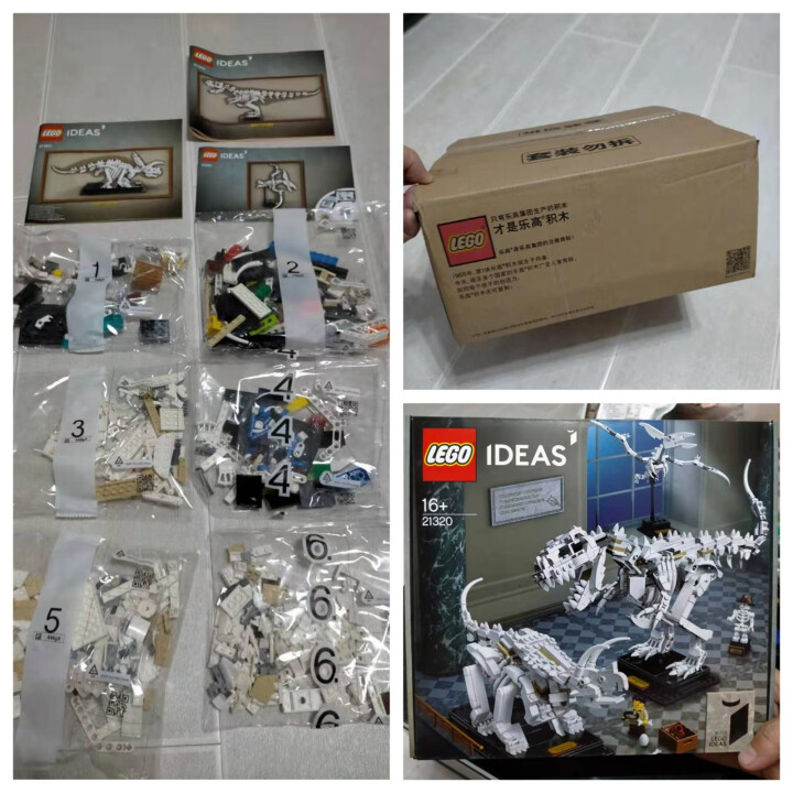 乐高（LEGO）IDEAS系列 2020年1月新品 16岁+【D2C旗舰店限定款】 恐龙化石 21320怎么样，好用吗，口碑，心得，评价，试用报告,第2张