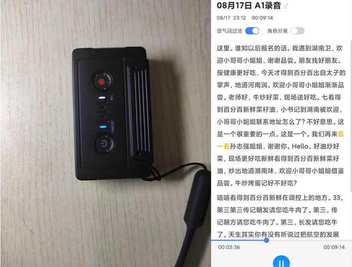 科大讯飞（iFLYTEK） 智能录音笔A1实时语音转换文字专业高清降噪同声传译录音器迷你微型隐形会议 【新品智能录音笔A1,第8张