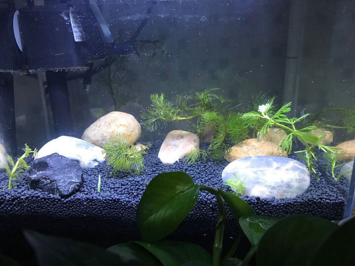 水草泥鱼缸造景泥 懒人造景底砂 草缸 3000g水草泥怎么样,好用吗,口碑