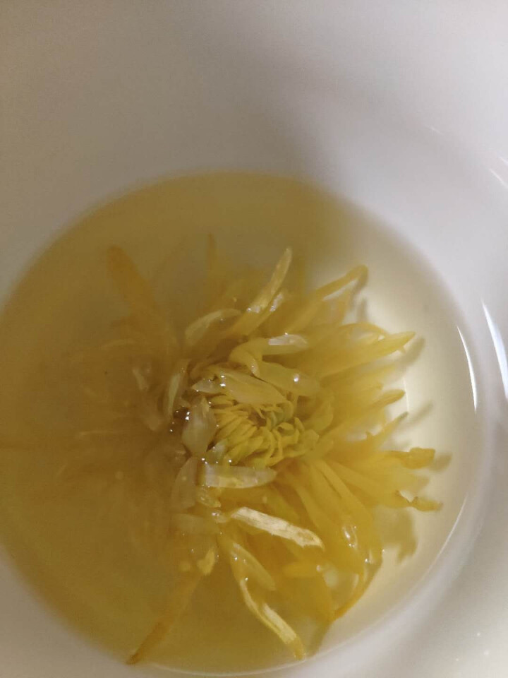 【发2盒共100朵+杯】菊花茶 黄山金丝皇菊一朵一杯完整大花黄菊泡水喝凉茶送礼盒装花茶 50朵(泡开约7,第4张