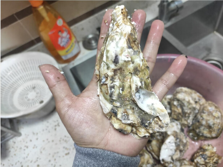 【活鲜】乳山生蚝鲜活 5斤装整箱 鲜海道 生鲜 贝类 新鲜海蛎子 净重2kg 牺牲包赔 烧烤选2XL，120,第6张