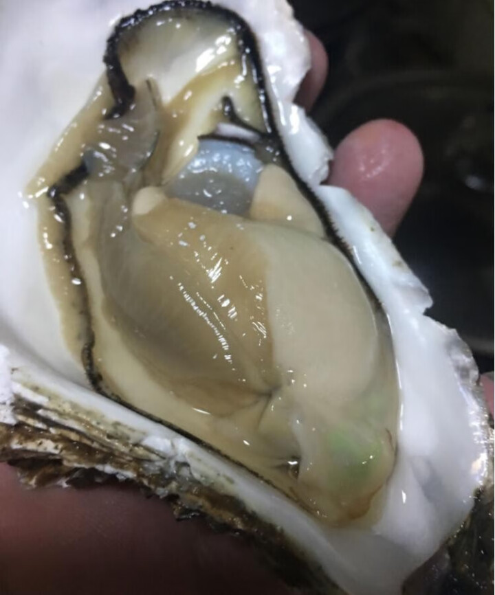 【活鲜】乳山生蚝鲜活 5斤装整箱 鲜海道 生鲜 贝类 新鲜海蛎子 净重2kg 牺牲包赔 烧烤选2XL，120,第7张