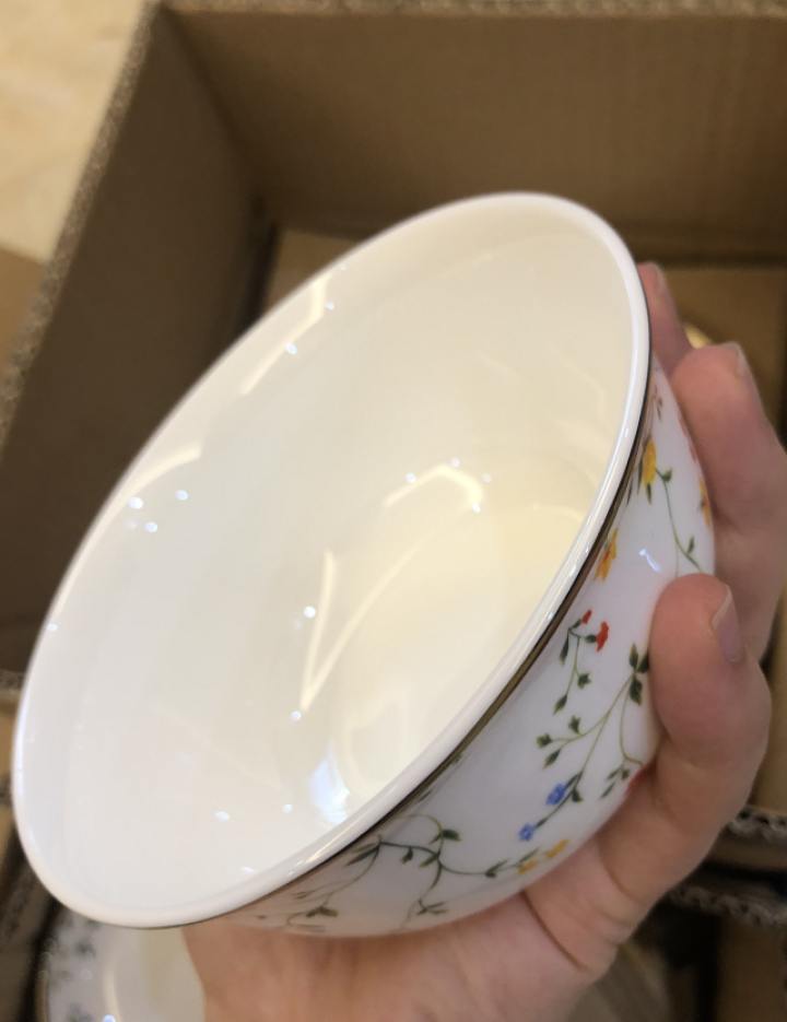 【赠品】松下 Panasonic 匠心之选骨瓷餐具十件套怎么样，好用吗，口碑，心得，评价，试用报告,第3张