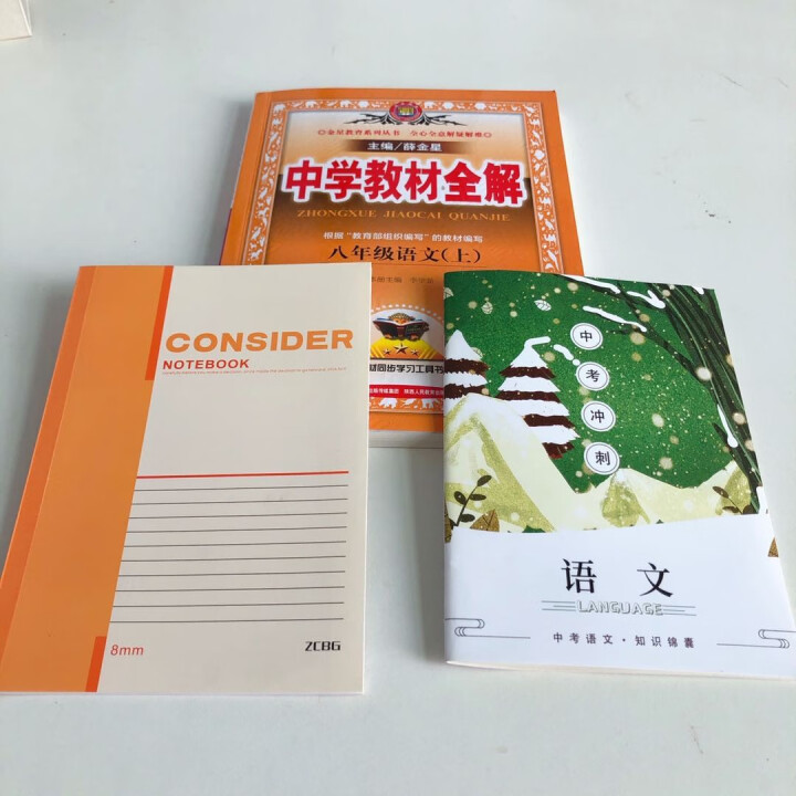 2020秋中学教材全解 八年级上册人教版8年级上 语文人教RJ部编版怎么样，好用吗，口碑，心得，评价，试用报告,第7张