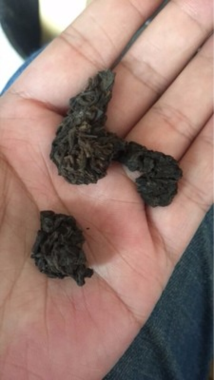 易武糯香茶头 试饮装怎么样，好用吗，口碑，心得，评价，试用报告,第2张