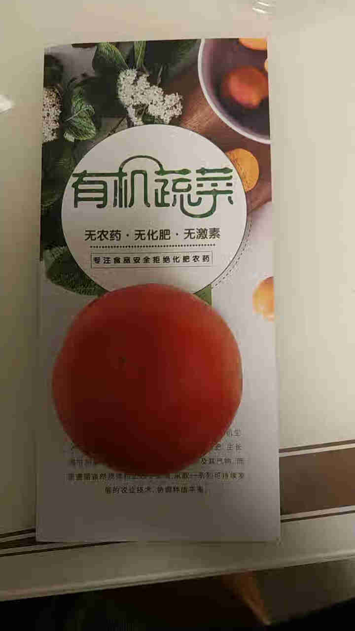 朕安心【供港精品】 供港粉果西红柿 番茄 孕妈宝宝辅食 轻食沙拉 凉拌时蔬 400G左右怎么样，好用吗，口碑，心得，评价，试用报告,第4张