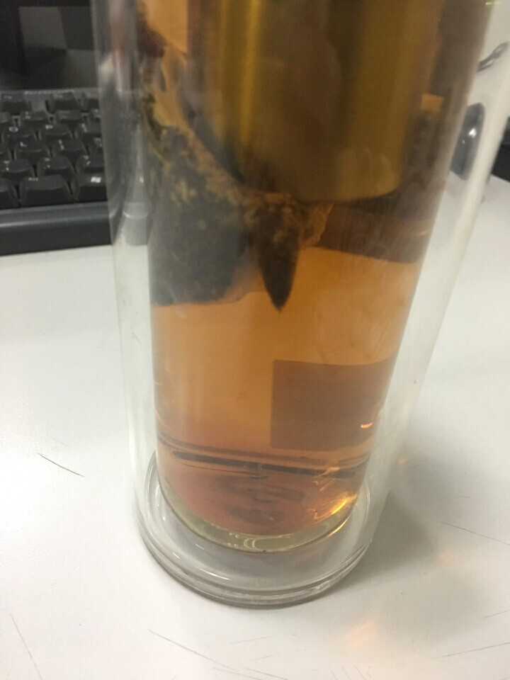 中粮集团中茶清茶桂花红茶 茶叶袋泡花草茶10包一盒25g 桂花红茶试用装(1袋)怎么样，好用吗，口碑，心得，评价，试用报告,第2张