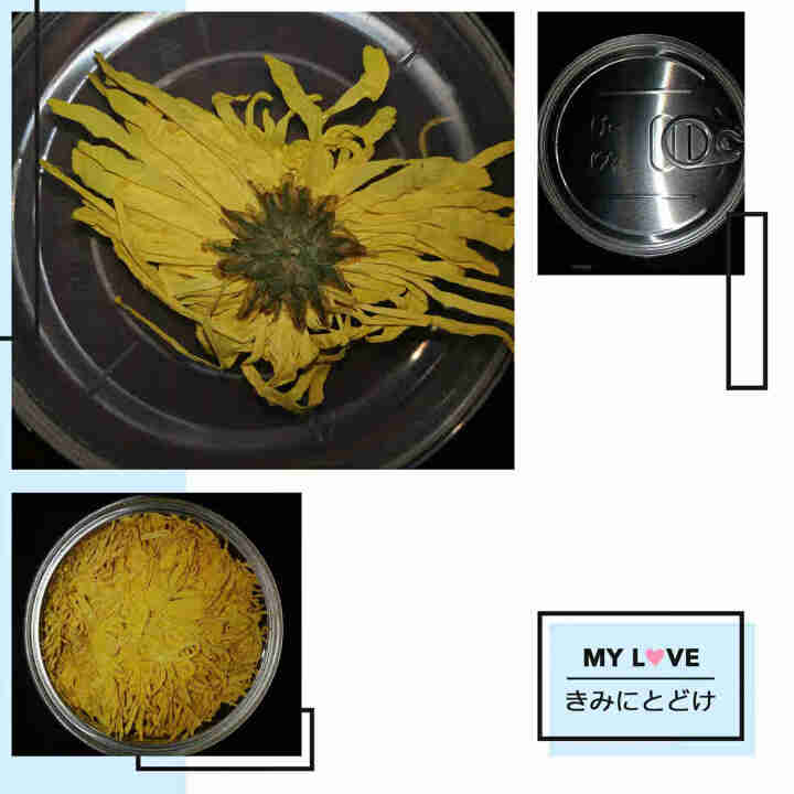 【发3罐】菊花茶 金丝皇菊特级大朵 黄山黄菊一朵一杯150朵泡开约7,第3张