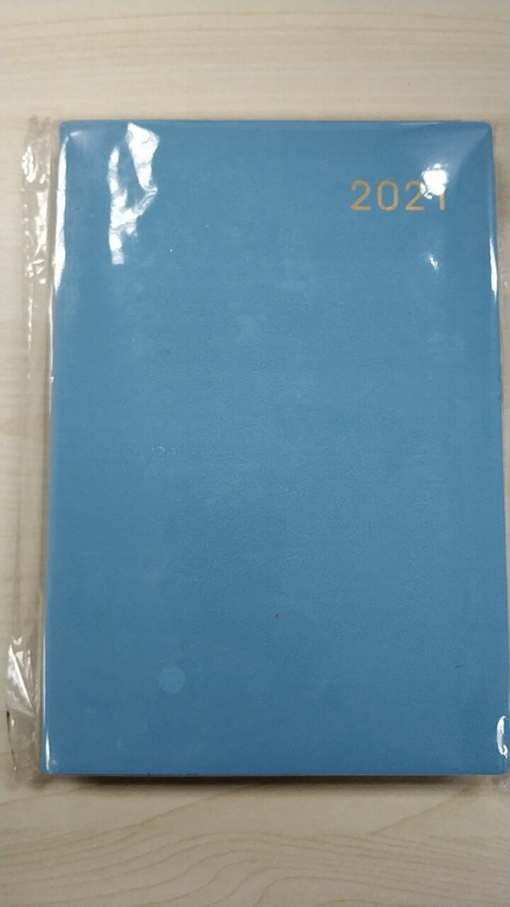 【2本9折】法拉蒙2021年日程本一天一页计划本日历记事本文艺笔记本子效率手册工作手帐本定制logo 蓝色/烫金款(配荧光笔) A款(2021.1~2021.1,第3张