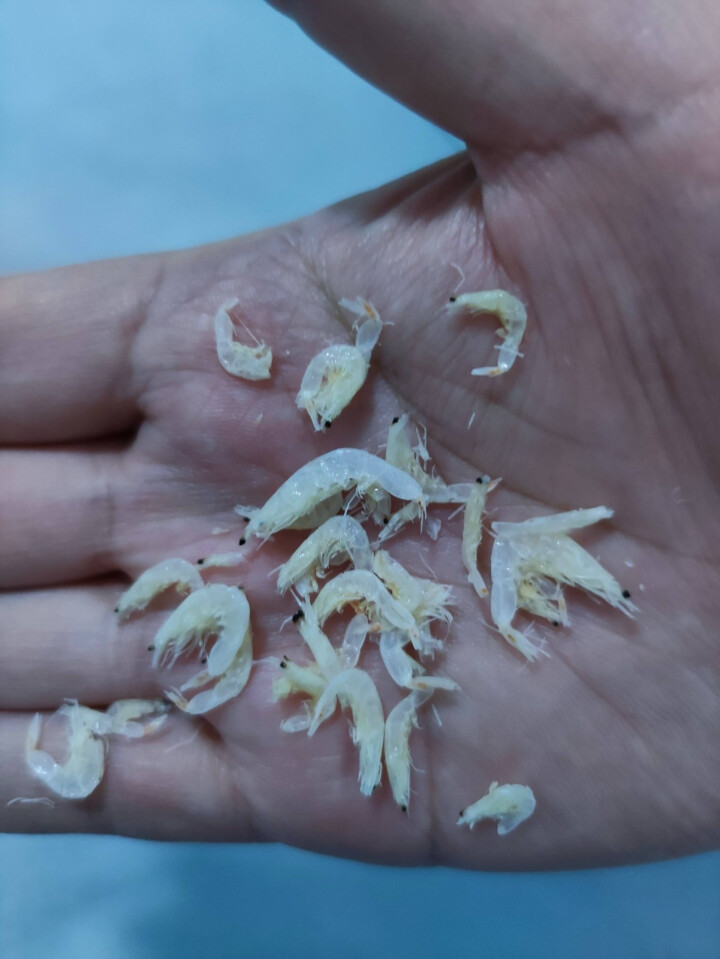 都小二小虾米 海米干 海特产 海鲜干货淡干虾皮无盐即食 海产干货 无盐虾皮200g装 200克怎么样，好用吗，口碑，心得，评价，试用报告,第4张