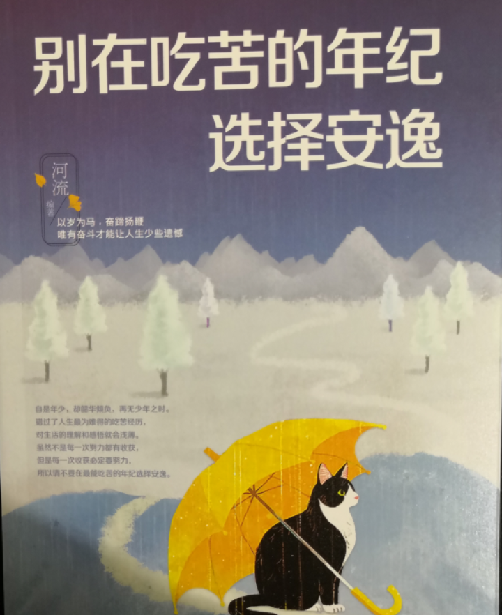 别再吃苦的年纪选择安逸 每个选择都是改变你人生的机会 励志人生哲学书籍 励志心灵鸡汤正能量书怎么样，好用吗，口碑，心得，评价，试用报告,第2张