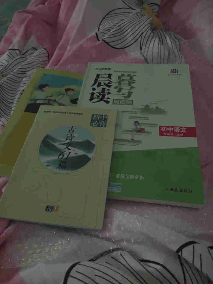 年级多选曲一线2021晨读暮写初中语文上册下册人教版5年中考3年模拟语文周周测 九年级上册怎么样，好用吗，口碑，心得，评价，试用报告,第3张
