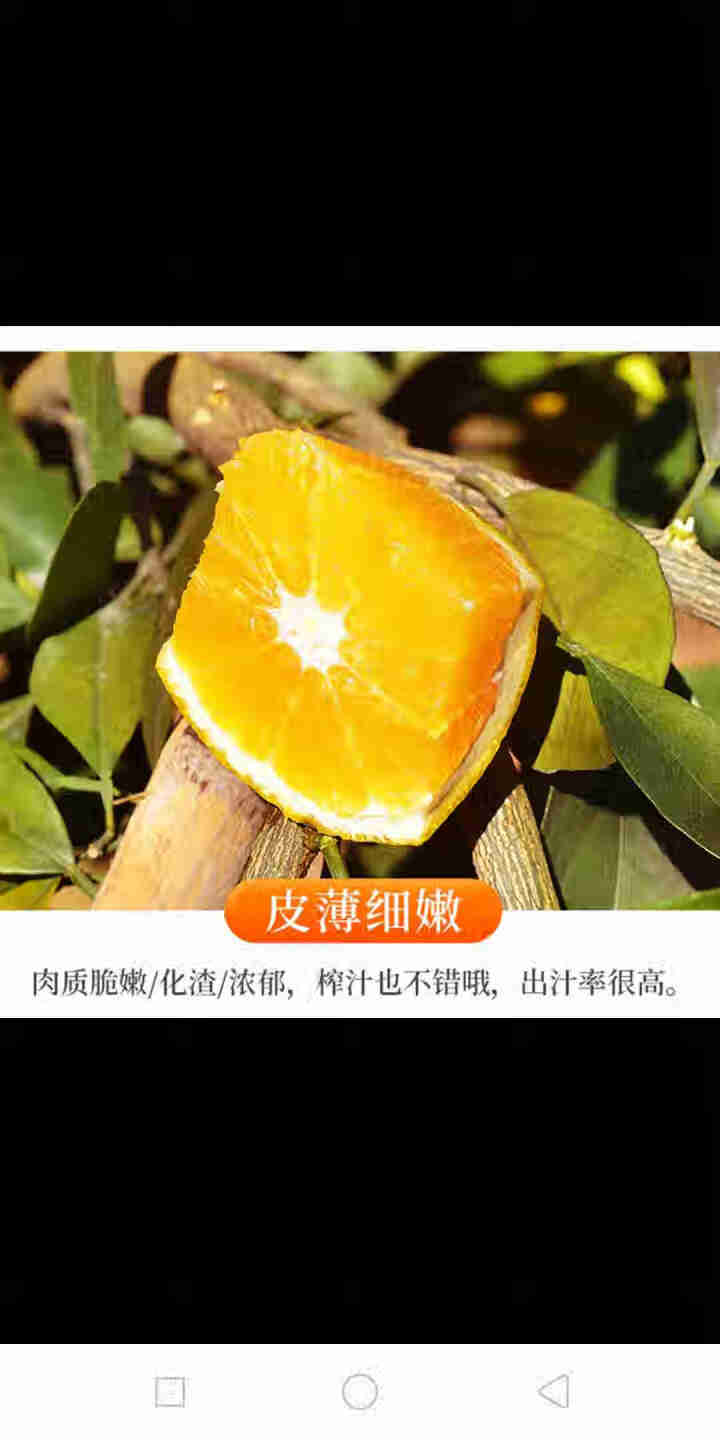 江西赣南脐橙 新鲜橙子 无核薄皮赣州甜橙 2斤尝鲜装(60,第3张