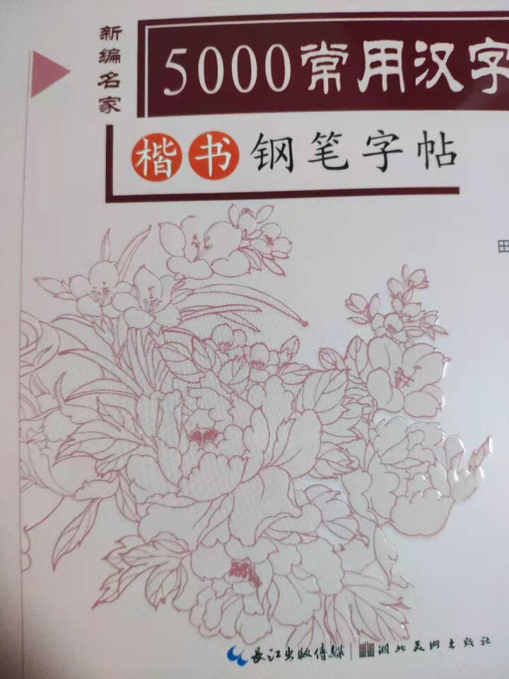 田英章楷书字帖硬笔书法 钢笔字贴练字本硬笔行书楷书入门临摹字帖硬笔楷书字体字帖女生练字帖学生练字神器 全12册田英章字帖怎么样，好用吗，口碑，心得，评价，试用报,第6张