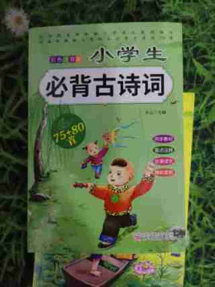 全2册 小学生必背古诗词75+80首+文言文通用版 教材同步全解阅读与训练语文课程标准1,第2张