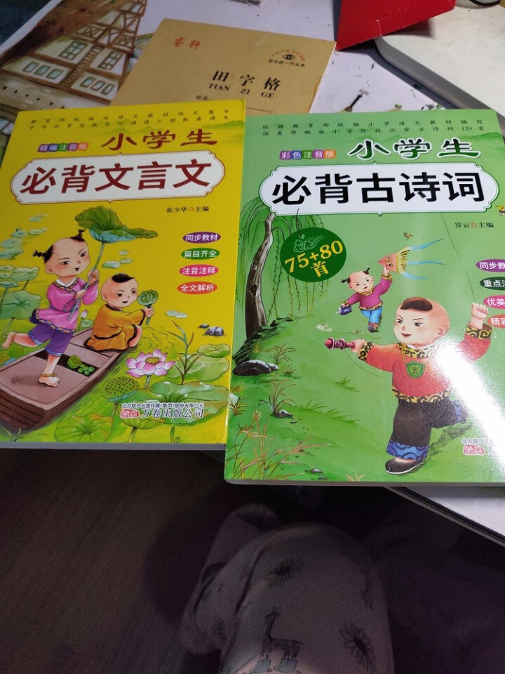 全2册 小学生必背古诗词75+80首+文言文通用版 教材同步全解阅读与训练语文课程标准1,第2张