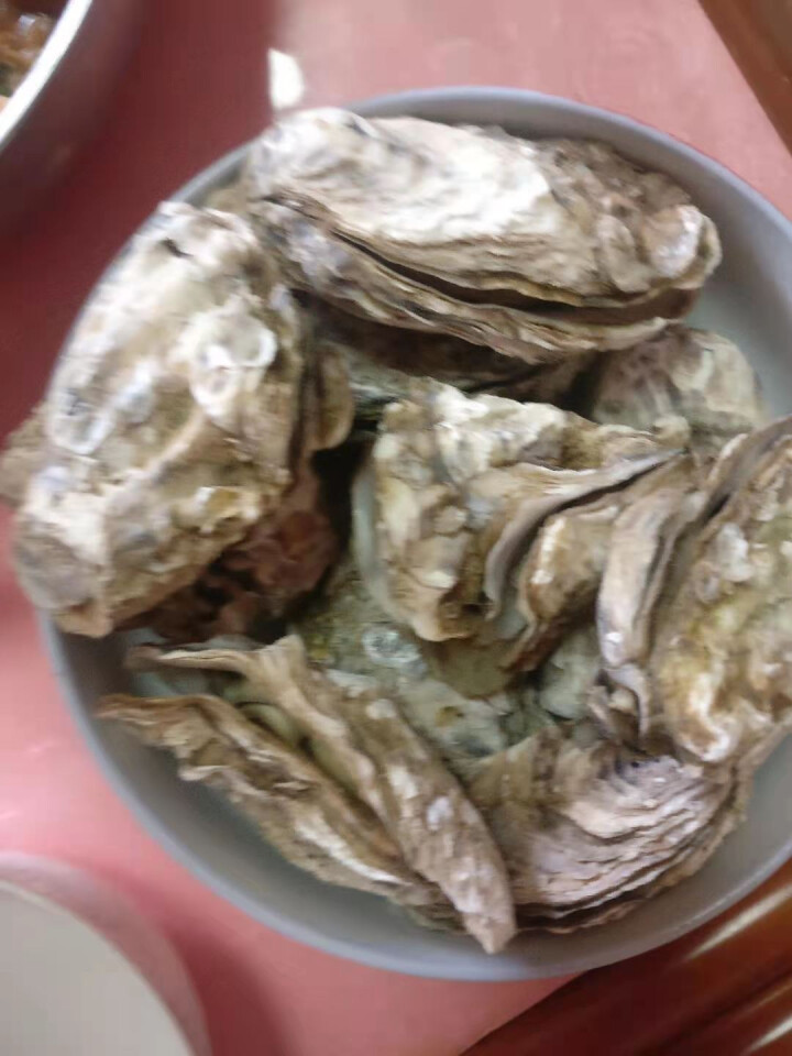 【百亿补贴】海鲜颂 梅岭 生蚝 鲜活 2.5kg 新鲜海蛎子 牡蛎 刺身生蚝 海鲜水产 贝类 刺身生蚝净重4斤 (20,第4张