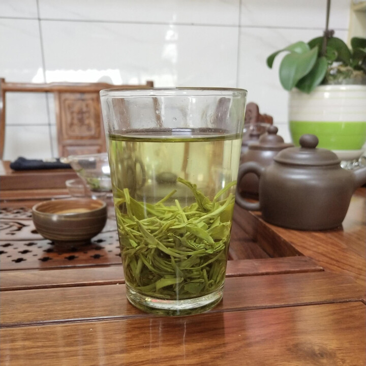 大川茶业 毛尖茶2020新茶 信阳绿茶类毛尖茶 蒙顶明前春茶嫩芽浅春200g/罐怎么样，好用吗，口碑，心得，评价，试用报告,第3张