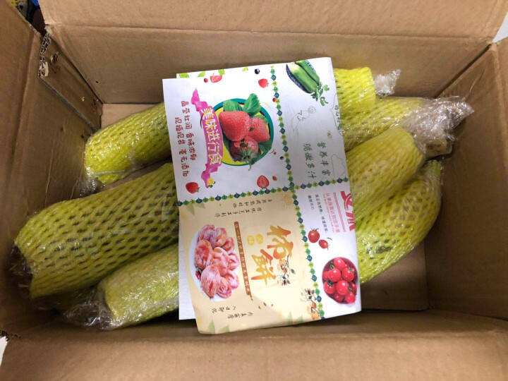 【京东农场】潍坊潍县水果青萝卜 白萝卜约2.5kg 火锅食材 坏果包赔 产地直发怎么样，好用吗，口碑，心得，评价，试用报告,第3张