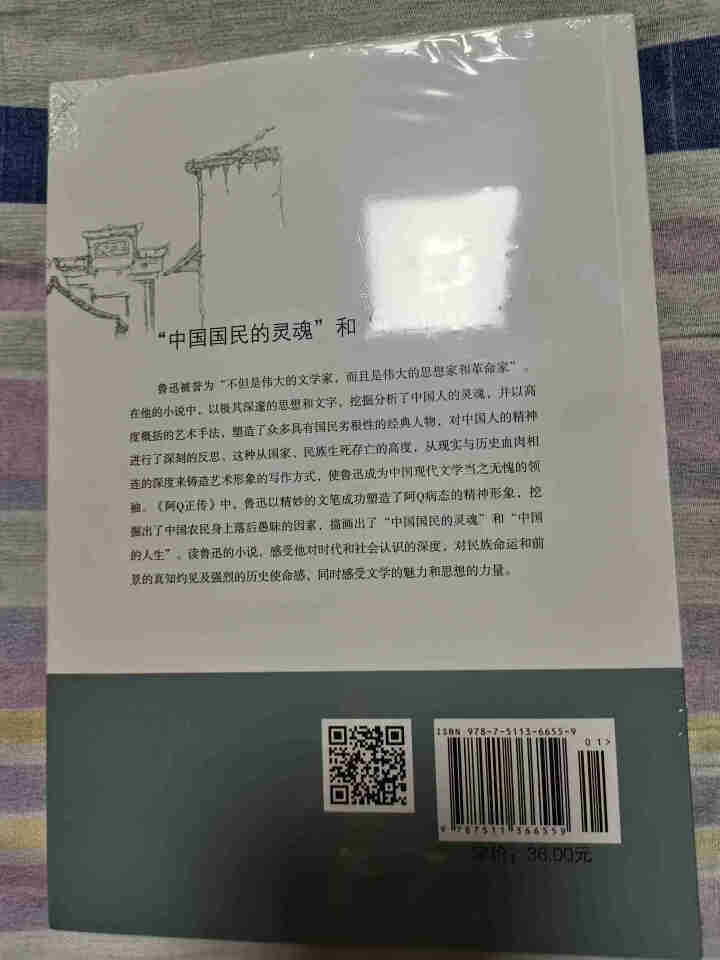 【秒杀专区】阿Q正传正版 鲁迅的书 初高中生课外阅读书籍怎么样，好用吗，口碑，心得，评价，试用报告,第3张