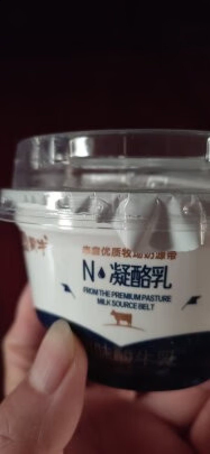 蒙牛凝酪乳140g*6杯/12杯 内蒙古老酸奶i低温酸牛奶 风味发酵乳 蒙牛凝酪乳140g/杯 1杯怎么样，好用吗，口碑，心得，评价，试用报告,第4张