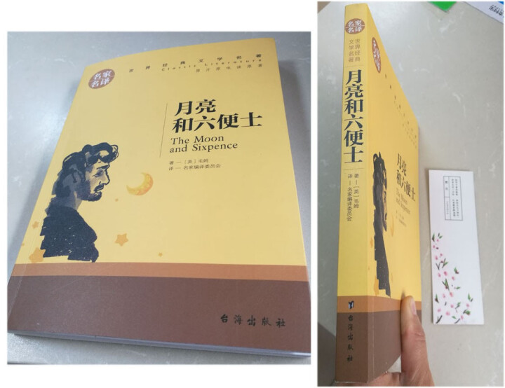 月亮和六便士 文学名著 世界经典名著  世界经典文学小说 文学名著 毛姆经典作品 正版畅销书籍怎么样，好用吗，口碑，心得，评价，试用报告,第3张