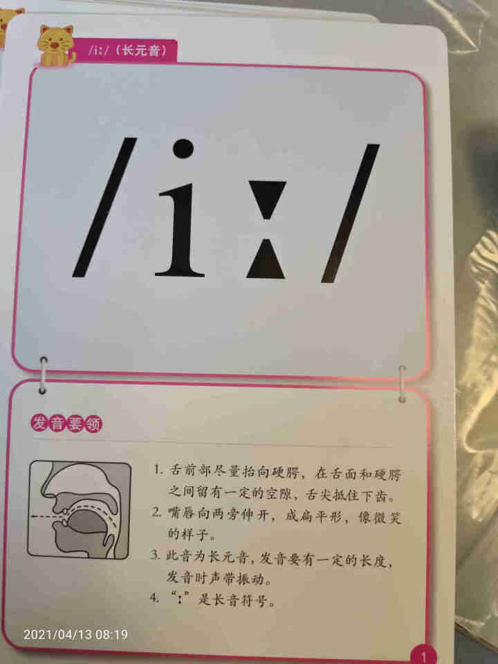 世纪恒通英语音标卡片国际音标卡片英语教程中小学教辅初一正版京东图书怎么样，好用吗，口碑，心得，评价，试用报告,第3张