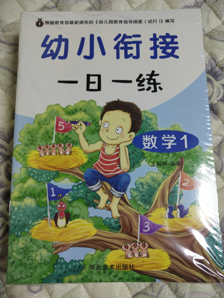 幼小衔接一日一练 数学+拼音+语言+偏旁部首全十册 幼儿早教书 根据幼儿园教育指导纲要试行编写怎么样，好用吗，口碑，心得，评价，试用报告,第2张