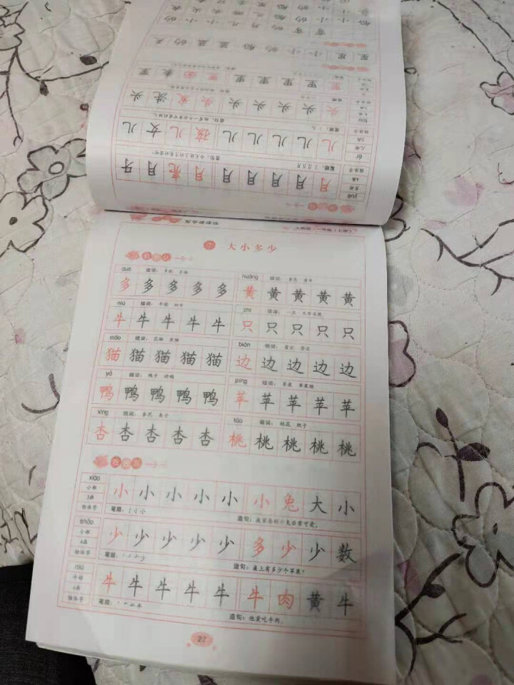 【随机一册】楷书字帖 硬笔楷书临摹字帖入门基础训练 小学生中学生书法教程教材 随机一册怎么样，好用吗，口碑，心得，评价，试用报告,第2张