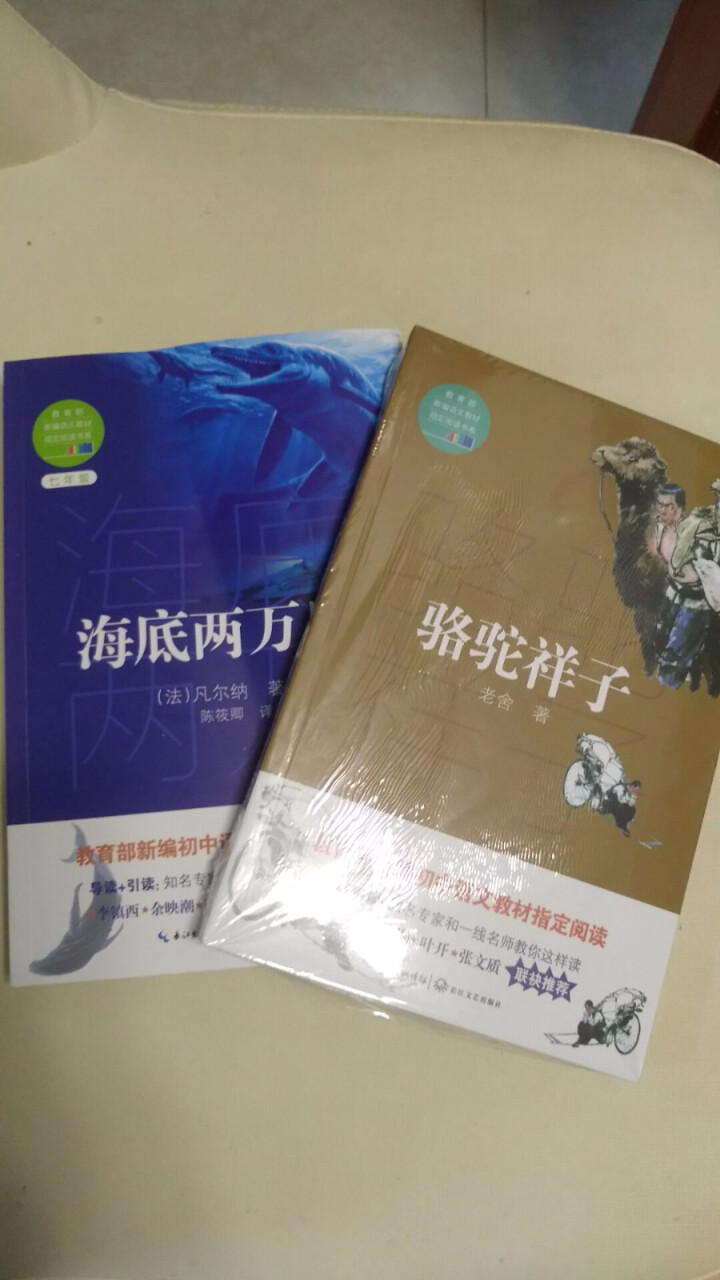 骆驼祥子+海底两万里初一七年级下教育部指定用书 七下套装怎么样，好用吗，口碑，心得，评价，试用报告,第4张