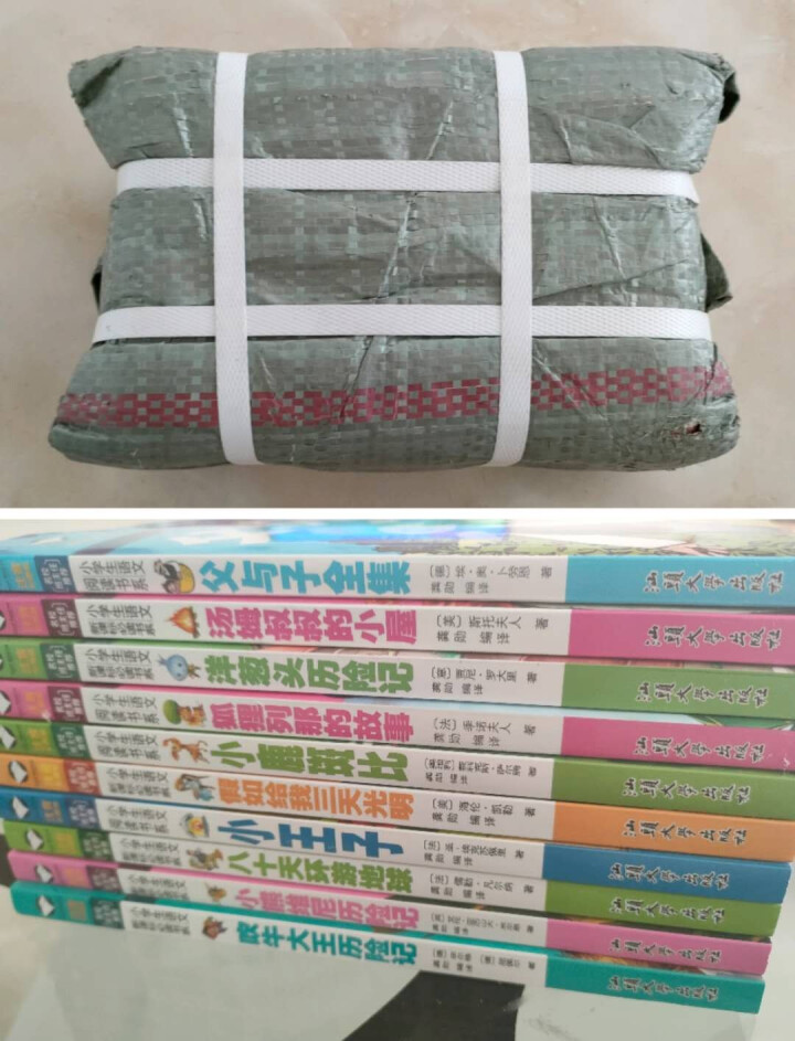 世界名著全10册 父与子全集儿童文学小说班主任推荐小学生读物一二三年级课外阅读畅销书儿童故事书怎么样，好用吗，口碑，心得，评价，试用报告,第2张