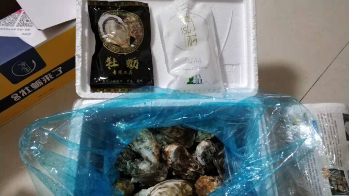 【活鲜】南泓村 乳山生蚝  鲜活牡蛎2.5kg  新鲜海蛎子 海鲜水产生蚝 刺身生蚝2.5kg (B规格,第2张