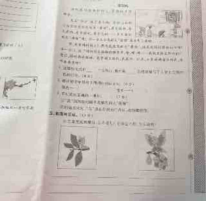 世纪恒通新世纪好题期末卷子小学语文数学英语人教版一到六年级下册期末冲刺100分试卷提分京东图书 二年级下册【数学】人教版怎么样，好用吗，口碑，心得，评价，试用报,第4张